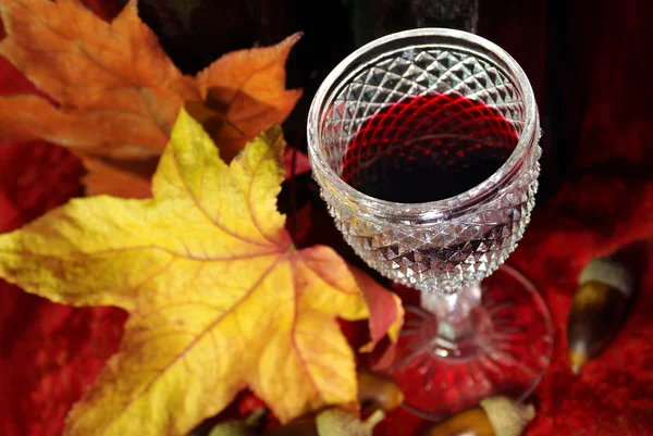 Podzim červené víno — Stock fotografie