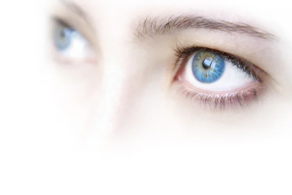Modré oči — Stock fotografie