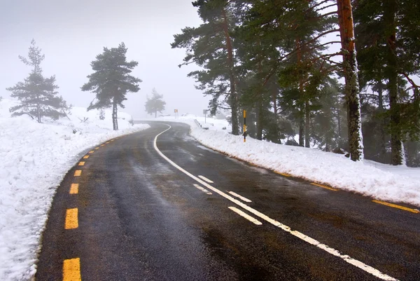 Snowy road — Stock Photo, Image