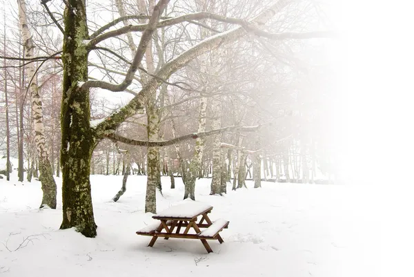 Winter picknick — Stockfoto