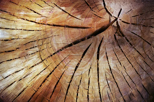 木背景 — 图库照片
