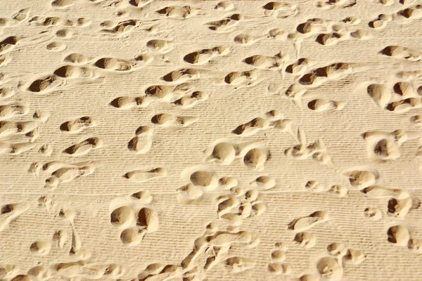 stock image Beatch Sand