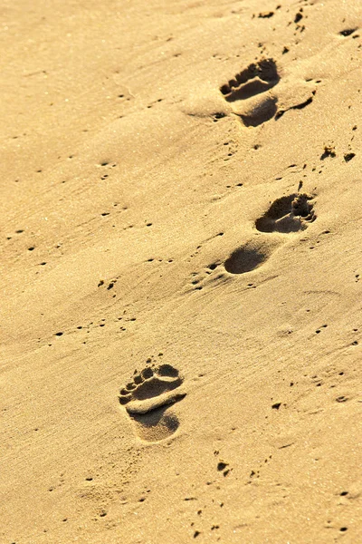 砂指纹 — 图库照片