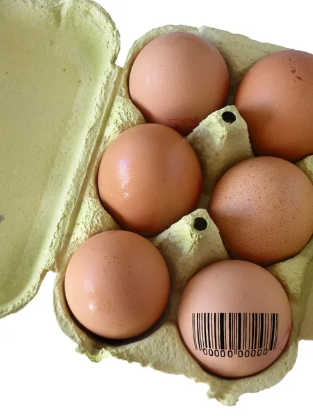 Coded Egg — Stock Photo, Image