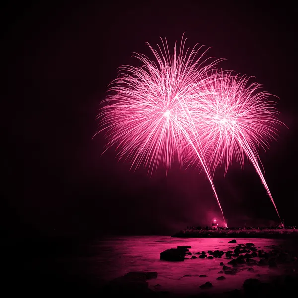 Magenta Fireworks — Stock Photo, Image