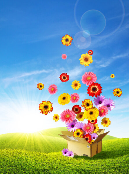 Весенняя поставка 2
