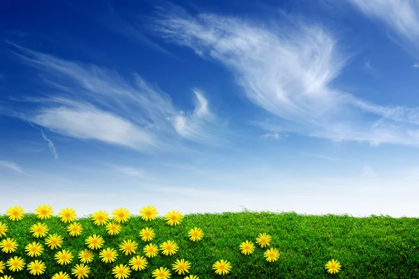 Grass and Daisies — Stock Photo, Image