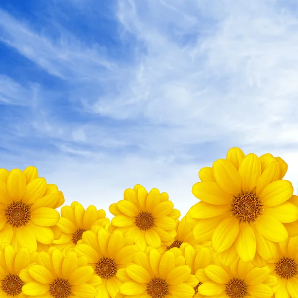 Blumen über dem Himmel — Stockfoto
