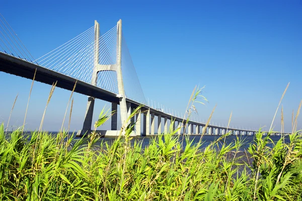ヴァスコ・ダ・ガマ橋 — ストック写真