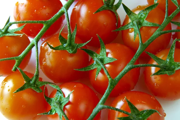 stock image Cherry Tomatoes