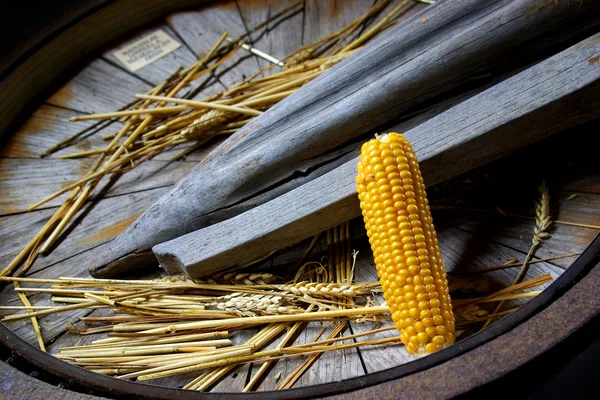 Кукурудзяний качан — стокове фото