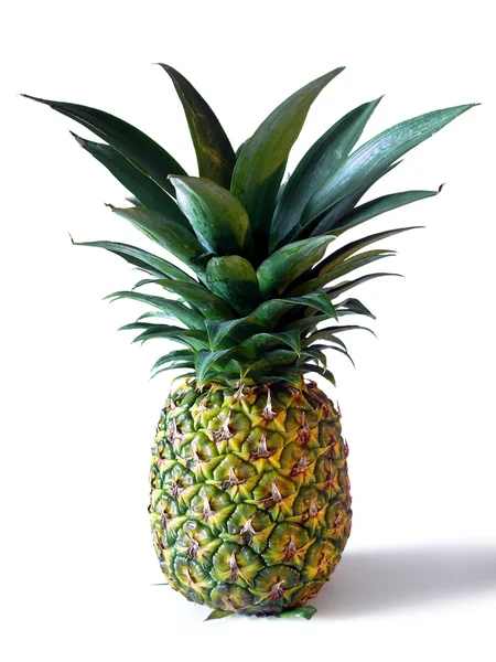 Stock image Pineapple