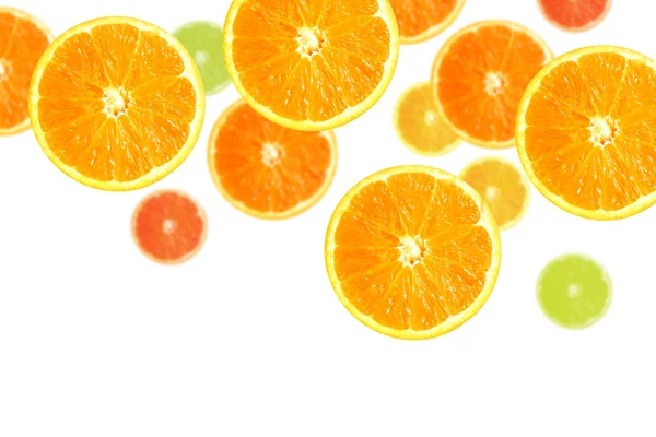 Fatia de laranjas — Fotografia de Stock
