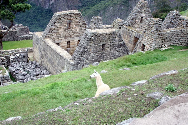 Machu Picchu Photo De Stock