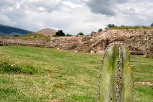 Teotihuacan — Stock fotografie