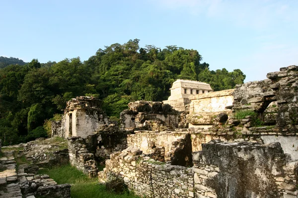 Palenque — Foto de Stock