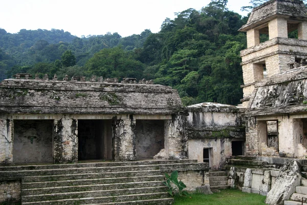 Palenque — Stok Foto