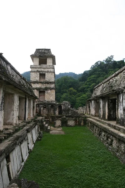 Palenque —  Fotos de Stock