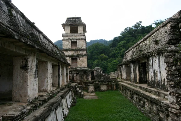 Palenque. — Fotografia de Stock