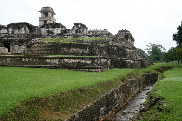 Palenque — Foto de Stock