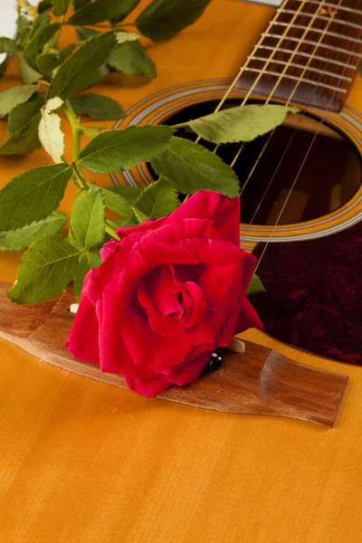 Red Rose Natural Acoustic Guitar — Stock Photo, Image