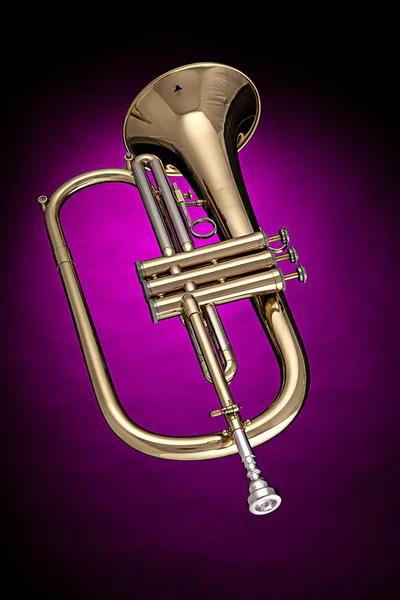 핑크에 고립 된 flugelhorn 트럼펫 — 스톡 사진