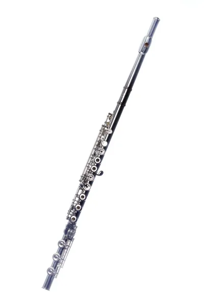 Flauta completa aislada en blanco — Foto de Stock