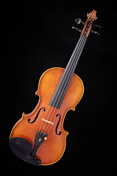 Kompletní housle violu izolované na černém pozadí — Stock fotografie