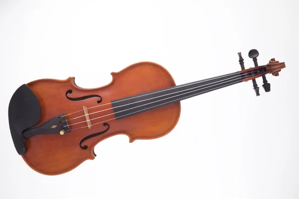 Виола Скрипка на белом — стоковое фото