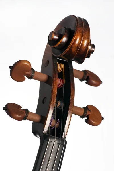Violin viola rulla isolerad på vit — Stockfoto