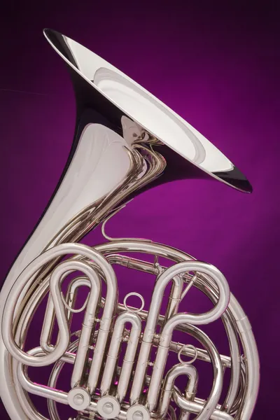 Подвійний валторни ізольовані на фіолетовий — стокове фото