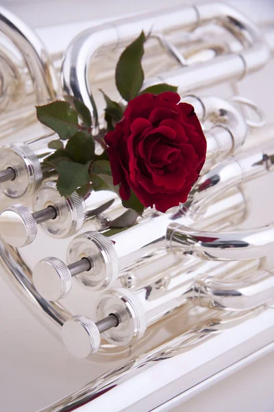 Zilveren tuba met rode roos op wit — Stockfoto