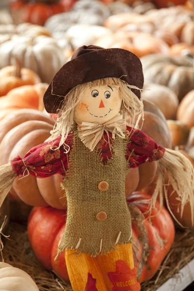 Thanksgiving Doll Scarecrow