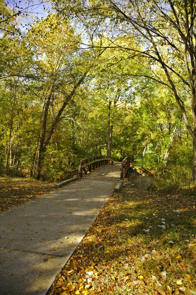 在秋季的旧脚桥 — 图库照片