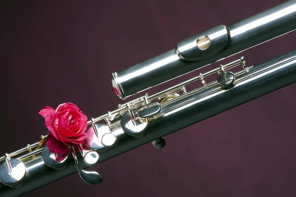 低音长笛隔离上紫色的玫瑰 — 图库照片