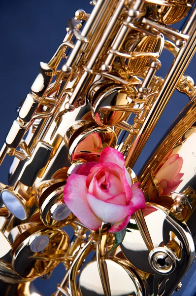 Altın saksafon ve mavi pembe Gül — Stok fotoğraf