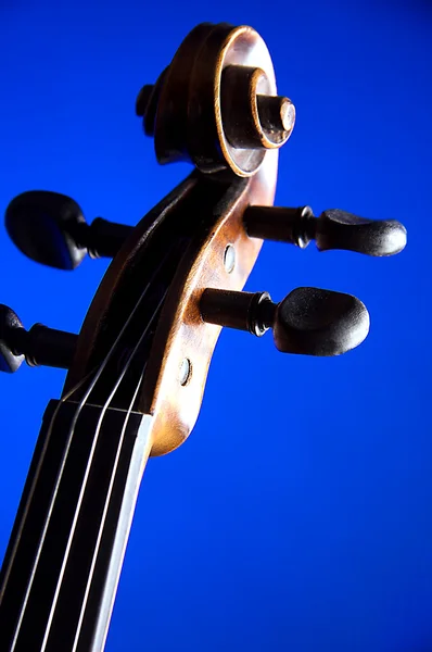 Violin Scroll Isolated on Blue — Stock Photo, Image