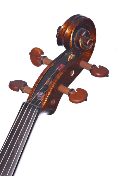 Rolo de Viola Violino Isolado em Branco — Fotografia de Stock