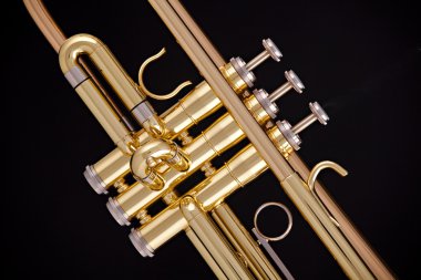 Gold Trumpet Isolated on Black clipart