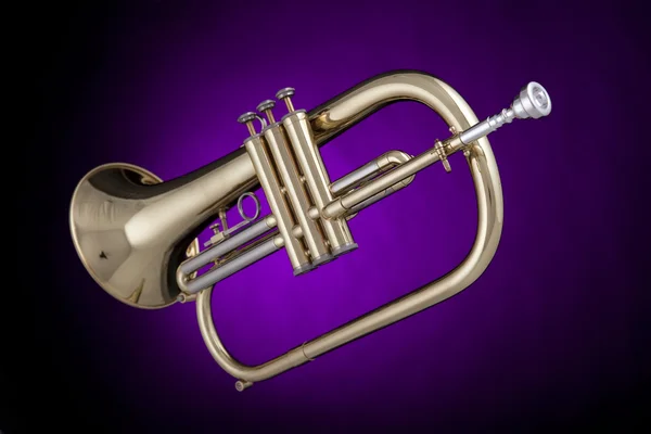 Flugalhorn trumpet isolerad på lila — Stockfoto
