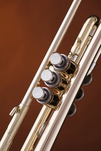 stock image Trumpet Cornet Isolated on Gold