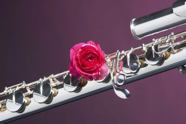 Base fluit met rode roos op paars — Stockfoto