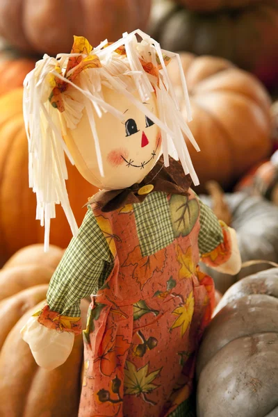 stock image Rag Doll Thanksgiving Halloween Autumn