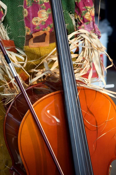 Ημέρα των ευχαριστιών βιολί τσέλο Απόκριες — Φωτογραφία Αρχείου