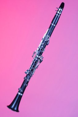 Clarinet Soprano Isolated On Pink clipart