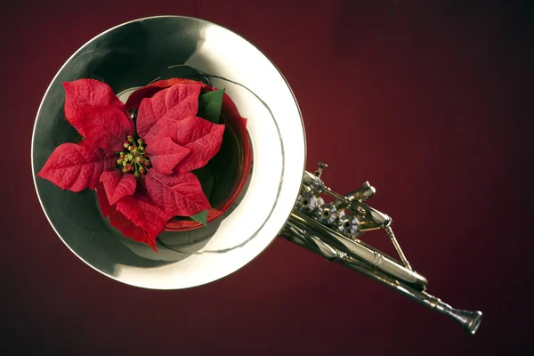French Horn and Poinsettia Isolated — Stock Photo, Image