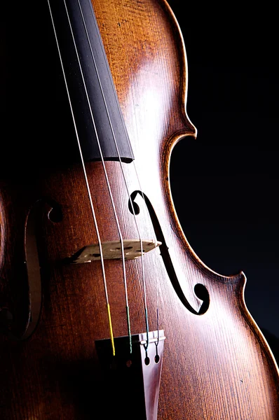 Violino Viola isolado no preto — Fotografia de Stock