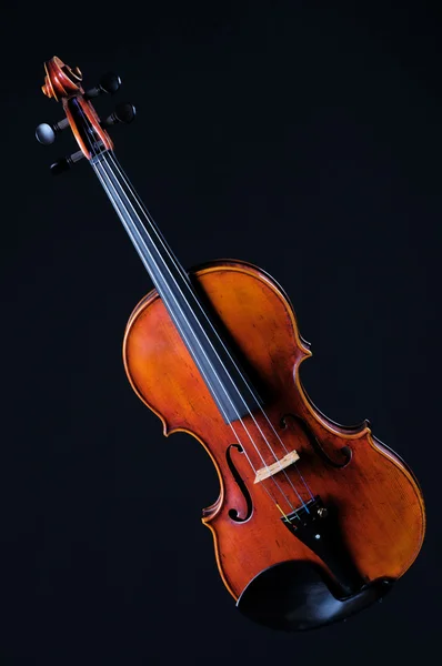 블랙에 고립 된 완전 한 바이올린 비올라 — 스톡 사진
