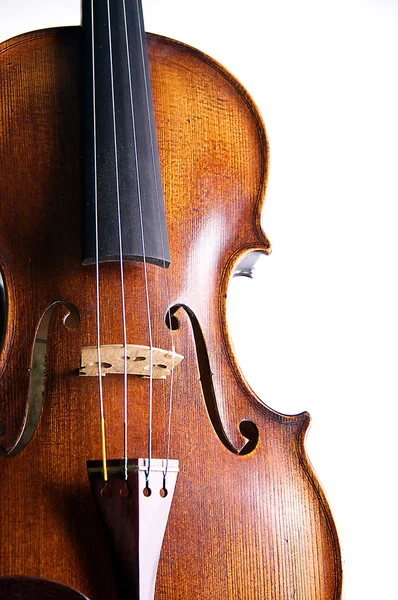 Скрипка Виола Изолирована на белом — стоковое фото