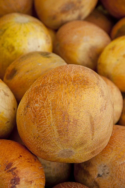 Grande maturo arancia Israele melone cibo — Foto Stock